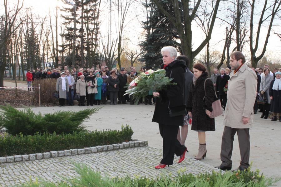 Wyświetl org. rozmiar 