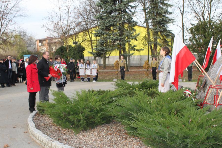 Wyświetl org. rozmiar 