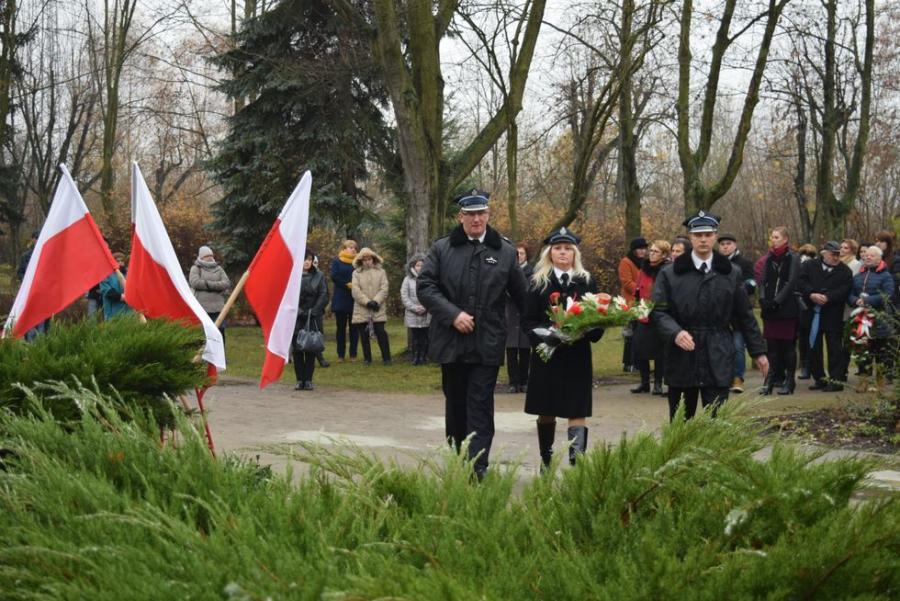 Wyświetl org. rozmiar 