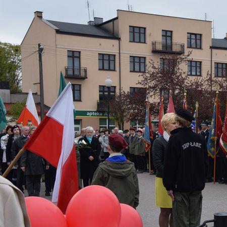 Wyświetl org. rozmiar 