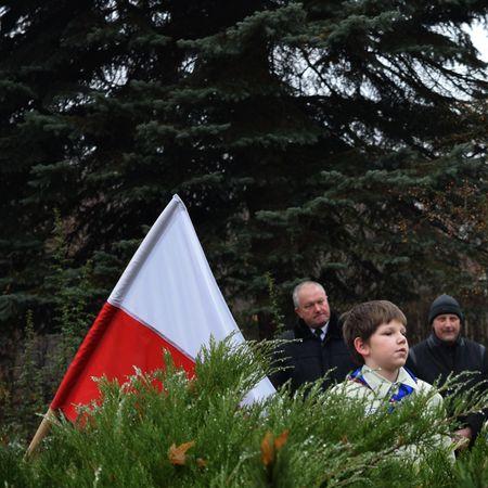 Wyświetl org. rozmiar 