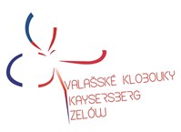 logo partnerstvi VKKZ