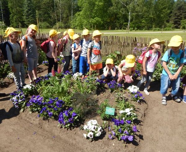 zwiedzanie ogrodu botanicznego2